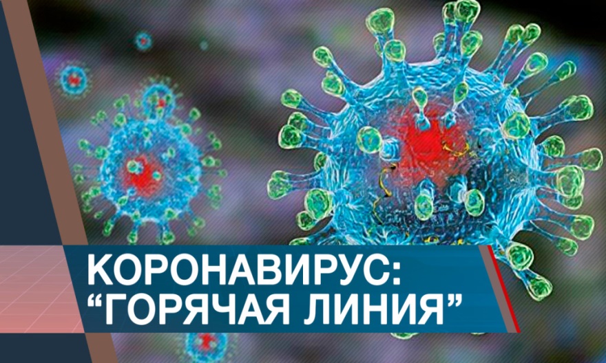 Работает горячая линия справочной службы Санкт-Петербурга по вопросам, связанным с коронавирусом!